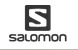go to Salomon
