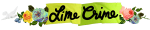Lime Crime Gutschein